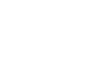 logo-mistic-blanco